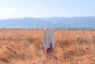 REISO vous souhaite un bel été, riche en lecture…